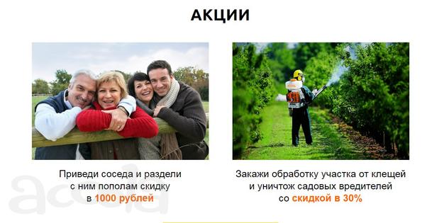 Уничтожение клещей и других садовых вредителей