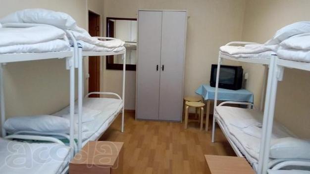 Кане корсо Изюм в дар