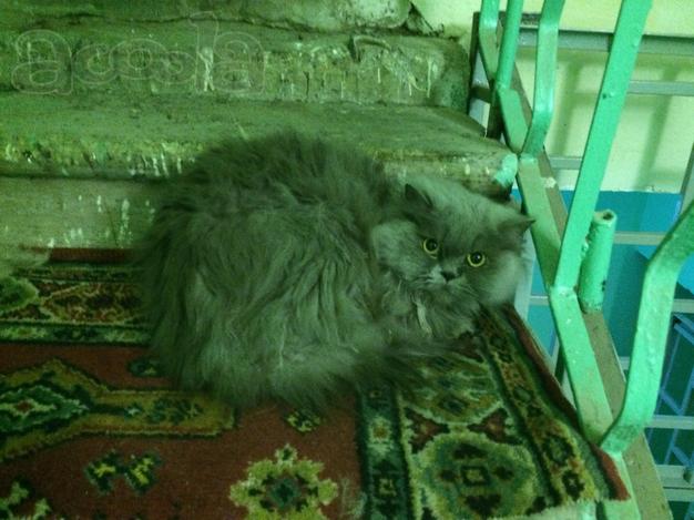Татьяна Бобылкина