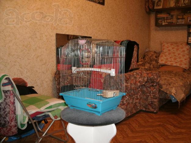 Клетка для небольших птиц