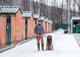 Дюшес - самый добрый в мире пёс ищет дом!