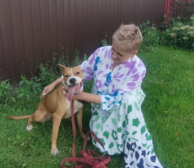 Ищет семью собака Хельга. В добрые руки.