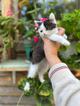 Ласковый котёнок Бован в добрые руки