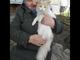 Нежная кошечка оказалась на улице