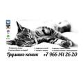 Стрижка кошек, экпресс-линька, вычесывание, подрезка когтей. Груминг кошек.