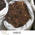 Купить коровий навоз в мешках