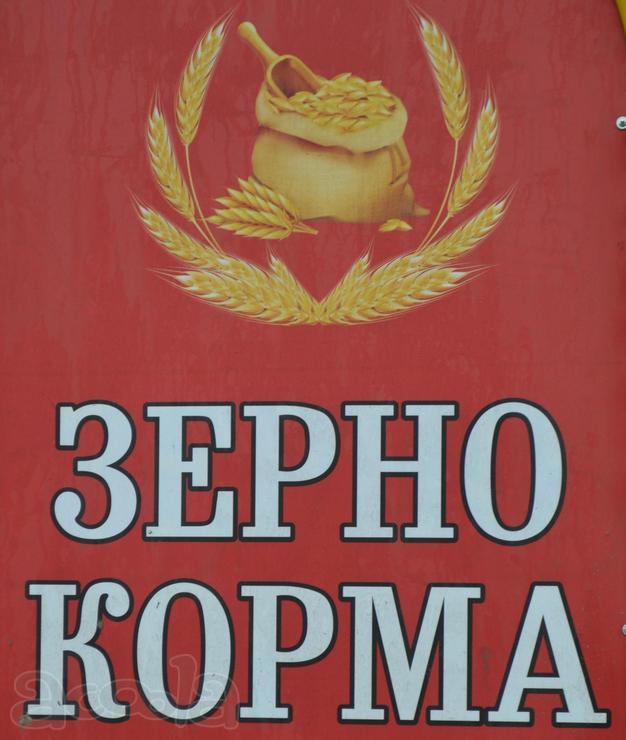 Зерно корма комбикорм