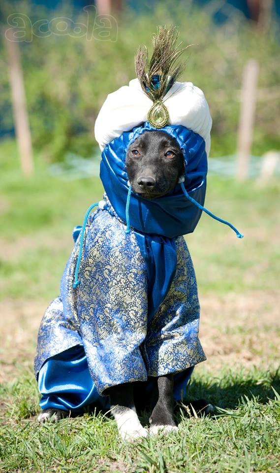 Мандула мальчик в дар