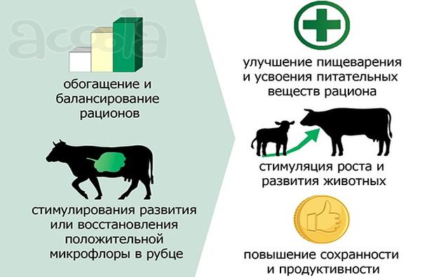 Продаётся С.У.П–углеводный пребиотический корм (повешение продуктивности с/х животных. Их пищеварения)