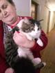 Эксклюзивные котята (10 мес.) в дар