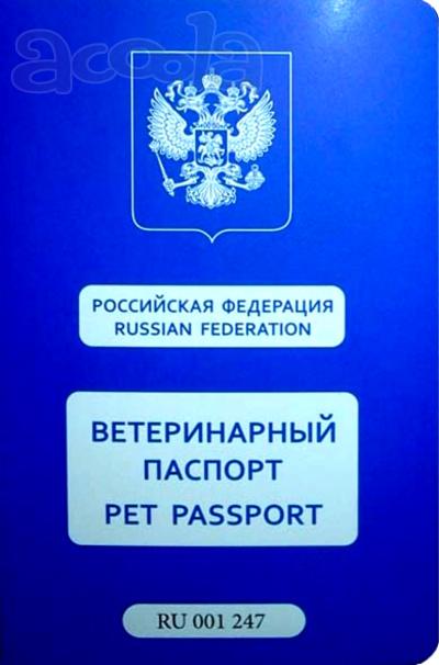Оформление ветеринарного паспорта. Чипирование. Вакцинация. Все случаи и варианты. С доставкой на дом. "Под ключ".
