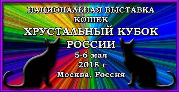 Национальная выставка кошек "Хрустальный кубок России"