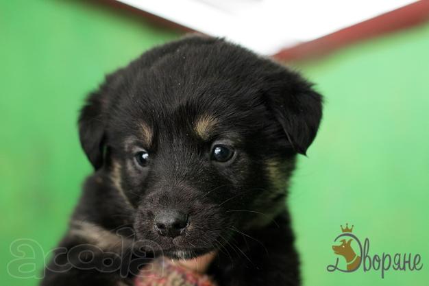 Очаровательная Принцесса в хорошие руки