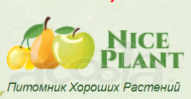 Питомник саженцев Хорошие Растения.