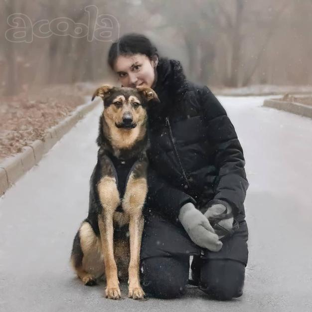 Перчик ждет семью