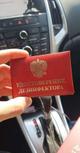 Уничтожение клопов, тараканов, блох.