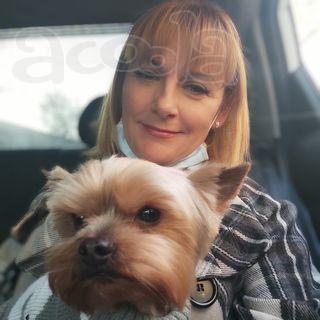 Грумер едет к вам домой