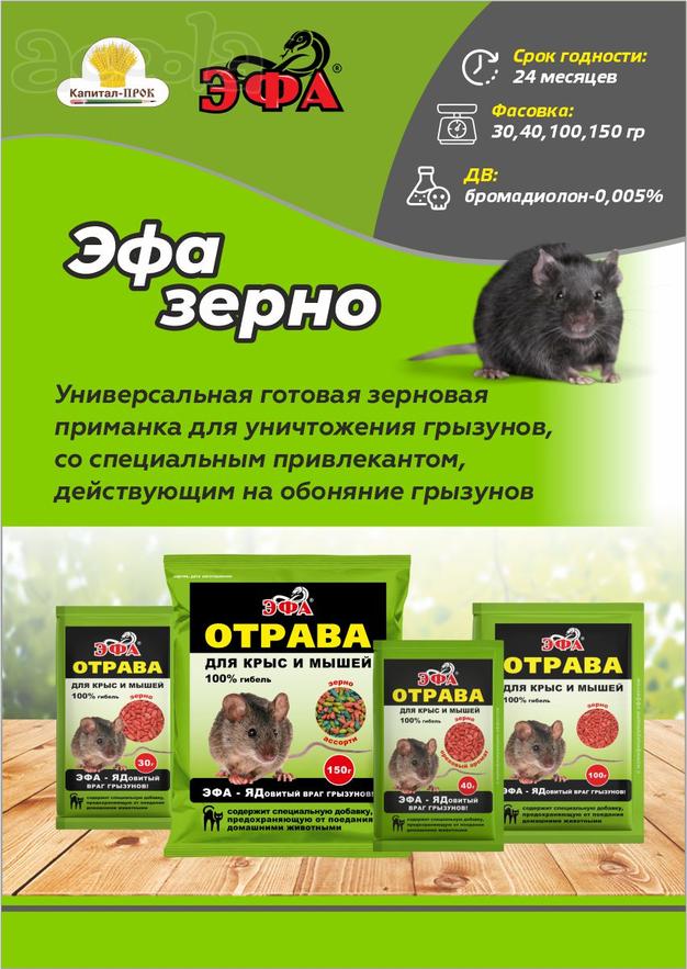 ЭФА зерновая приманка 100г - эффективное средство для борьбы с грызунами.