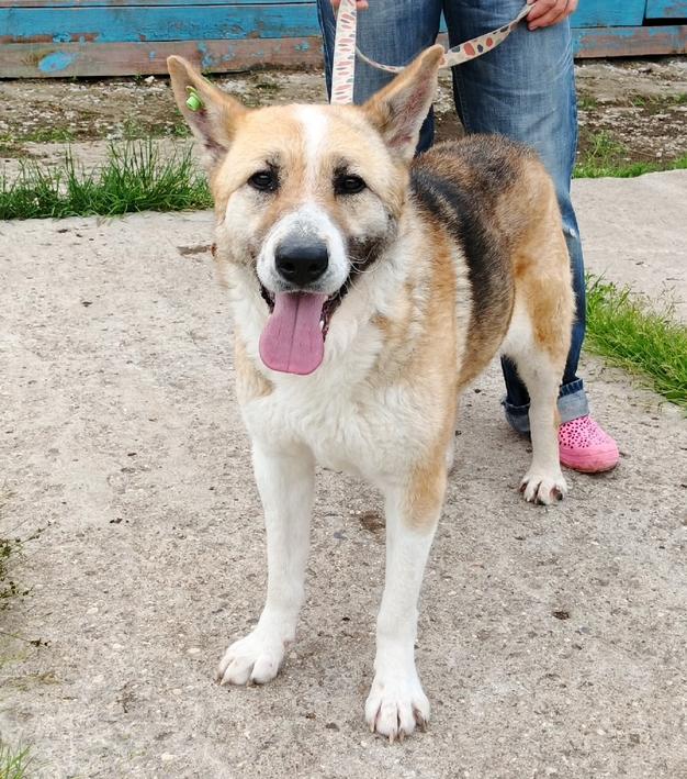 Супер позитивная девчонка Зира ищет своего ЧЕЛОВЕКА