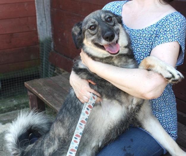 Ласковая, жизнерадостная, позитивная Златочка ждет свою семью, мечтает о доме.